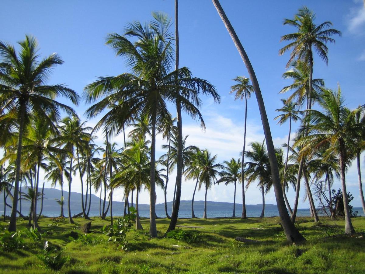 Palm-Covered House In The Tropical -Casa Oli 라스갈레라스 외부 사진