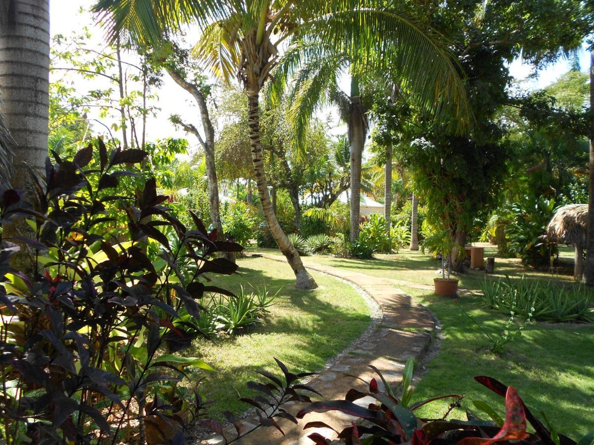 Palm-Covered House In The Tropical -Casa Oli 라스갈레라스 외부 사진